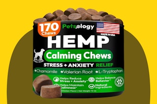 A jar of Hemp Calming Dog Chews that's green and black and notes the quantity of 170 small hockey-puck-shaped brown things