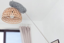 a duster on an extension pole