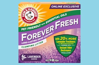 arm and hammer cat litter amazon