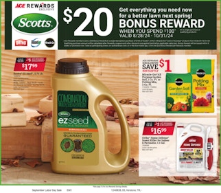 Ad Scan Image