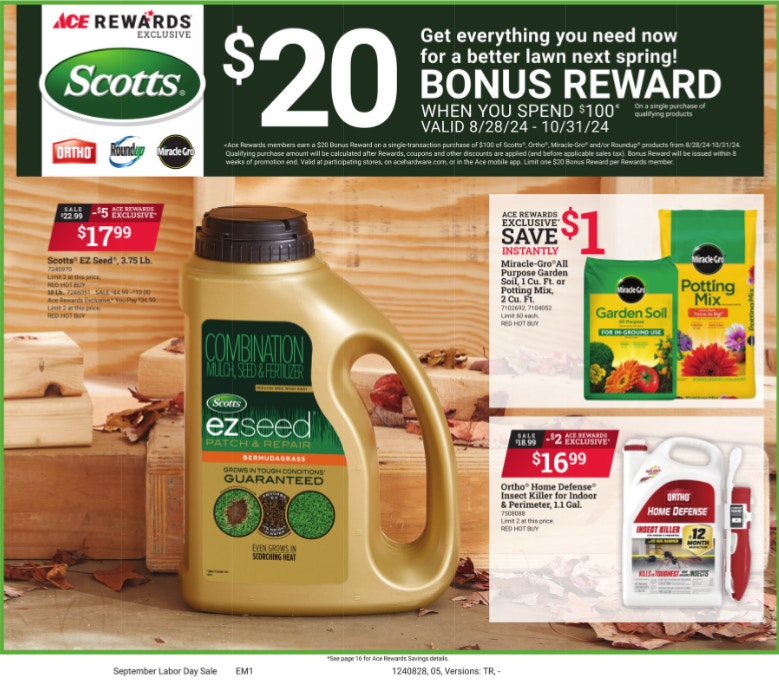 Ad Scan Image