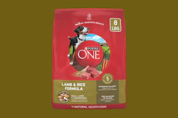 a bag of purina one dog food