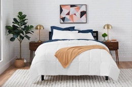 Home Depot Just Slashed This Queen Comforter Set to $31 (48% Off) card image