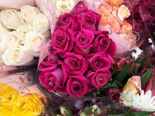 flowers-roses-target-2021-1