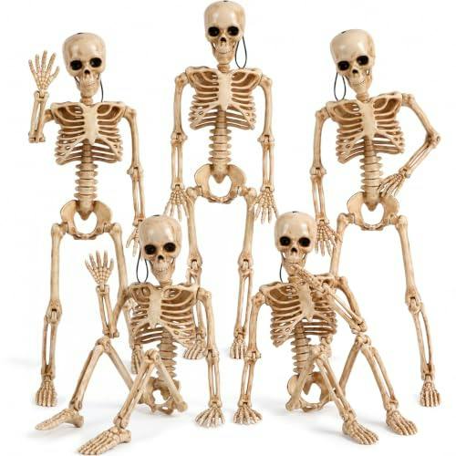 Skeleton Decoration 5-Pack