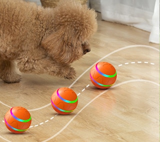 amazon pet toy 1683053194 1683053194 e1683053208555