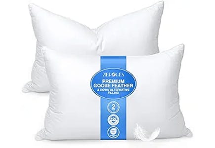 Down Queen Pillows