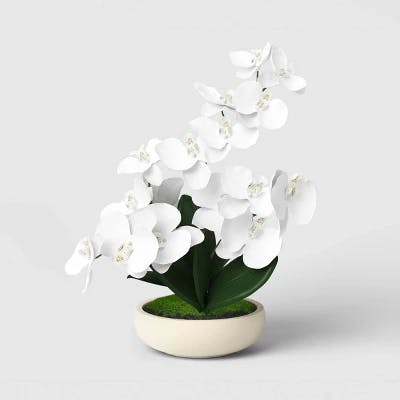 Threshold Artificial Orchid Garden