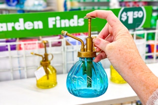 hand holding plant mister at dollar tree