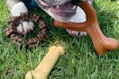 a dog chewing on toys