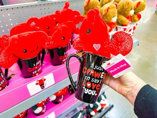 plush and mug walmart valenines day dollar spot