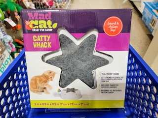 cat toy