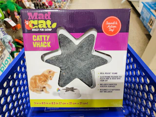cat toy