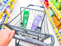 dove, garnier, and loreal shampoos in a walgreens cart