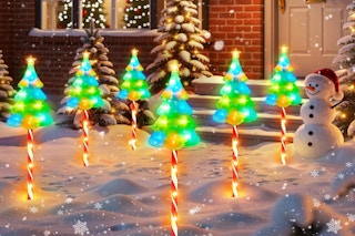 ELECLINK 25" Larger Outdoor Christmas Decorations, 6 Pack, outside in the snow.