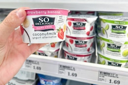 Free So Delicious Yogurt Cup + $0.06 Moneymaker at Meijer card image