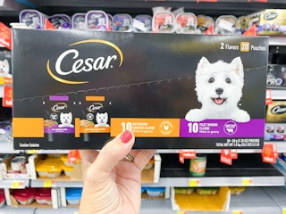 Holding a box of the Cesar multipack wet dog food 