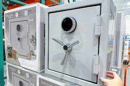 Sanctuary Reserve Home & Office Safe, $220 in Stores at Costco (Reg. $290) card image