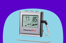 ThermoPro LCD Digital Meat Thermometer, $17 on Amazon card image