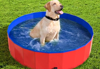 lowes pet pal dog pool 1683382628 1683382628 e1683385833285