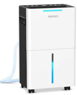 Dehumidifier