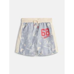 Hot Wheels Toddler Mesh Shorts