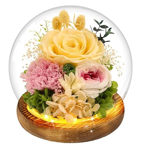 Preserved Real Rose in Glass Dome