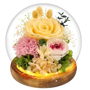 Preserved Real Rose in Glass Dome