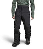 The North Face Men's Freedom Pants