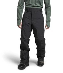 The North Face Men's Freedom Pants