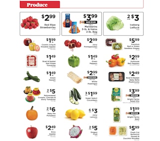 Ad Scan Image