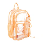 Clear Backpack