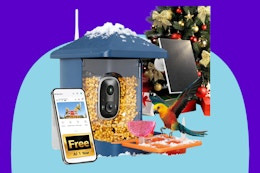 ACCULENZ Bird Feeder with Camera 2K on a blue background.