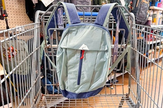 Ozark Day Pack hanging on Walmart shopping cart