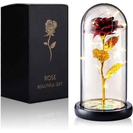 Rose in a Dome