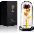 Rose in a Dome