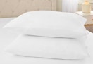 The Home Depot StyleWell down alternative pillow set