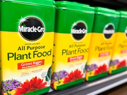 miracle-gro plant food sitting on a target shelf