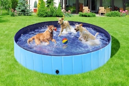 You’ll Regret Skipping This Bestselling Pet Pool Deal — Now $21 at Walmart card image