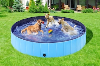 pet swimming pool