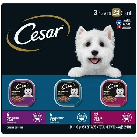 Cesar Wet Dog Food