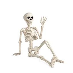 Halloween Skeleton Decoration