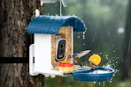 smart bird feeder