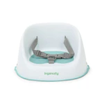 Ingenuity Baby Booster Seat