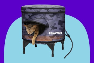 Heated Outdoor Cat House