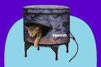 Heated Outdoor Cat House