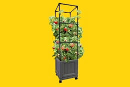 Gardeners, Don’t Miss This Tomato Trellis Tower for $23.88 at Walmart card image