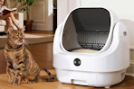 amazon litter box B0G3XV7ZKY