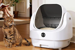 amazon litter box B0G3XV7ZKY