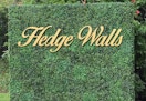 faux Boxwood Hedge panels